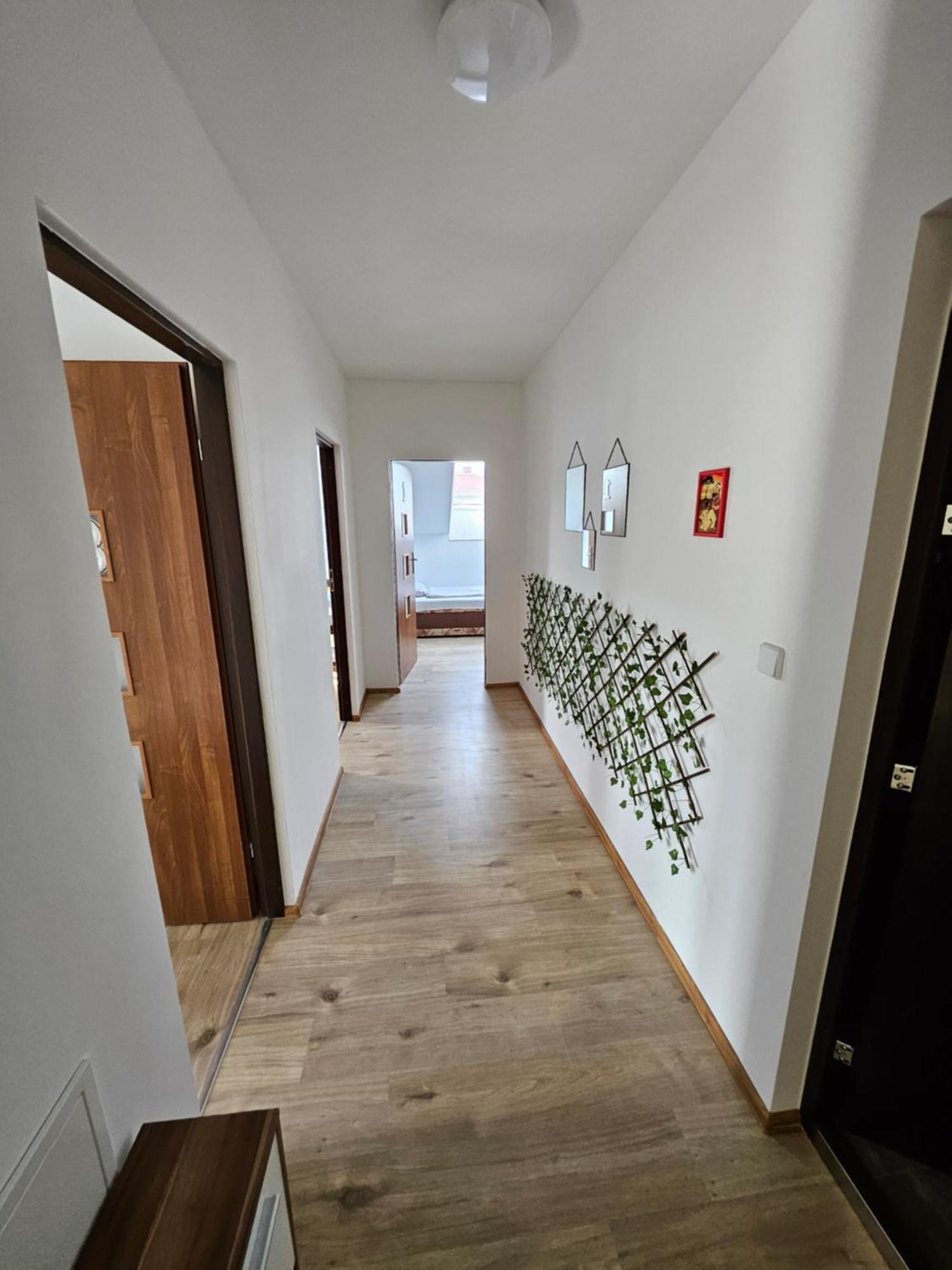 Wohngemeinschaft- Einzelne Appartement